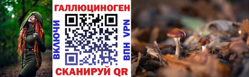 мега сайт  Тобольск  Псилоцибиновые грибы мухоморы  купить наркотики цена 