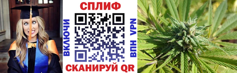 Конопля гибрид  где продают наркотики  Тобольск 